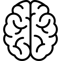 Focus — Simple, consistent nutrition for busy days.
